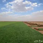 تنسيق حدائق وتركيب جميع انواع الثيل الصناعى والطبيعى