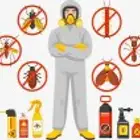 شركة مكافحه الصراصير _ النمل الابيض _الوزغ _الفأران _جازان