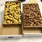 تمر سكري وبرحي بالجملة