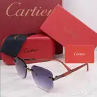 نظارات كارتير