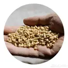 علف دجاج وصيصان للبيع