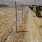 تركيب شبوك وزرعه نخل