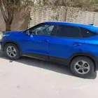 ممشا 225 رشا كامل جير ومكينا علي الشرط اربكات سليمه