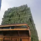 سوق الاعلاف والبرسيم والرودس والتبن