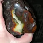 حجر كهرمان خام طبيعي ملطخ جبس بعسل 349g