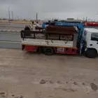 دينه ونش للنقل الابل