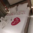 منسق ورد و غرف عرسان و سيارات