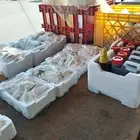 ام فهد البدرانيه