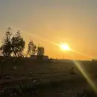 مزرعه الجار اليوم 1200