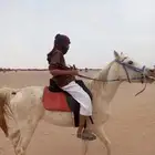 خيل شعبي عمره سبعه سنوات ونص
