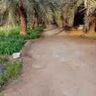 مزرعه للبيع في الخرج