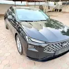 توريس 2024