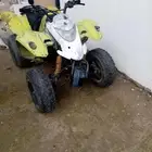 دباب للبيع