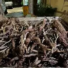 للبيع حطب ارطا على السوم