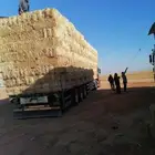 برسيم مخلوط برسيم صافي تبن بور قصب ناعم