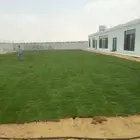 مشاتل طريق الجبيل