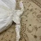 فستان فرح او شبكة