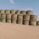 الفات رودس ناعم شد اتوماتيك