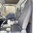 دينا ايسوزو