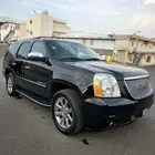 يوكن 2009دينالي