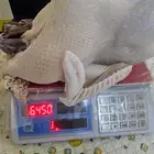 ديك رومي ذبح طازج