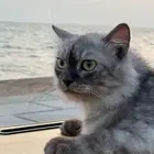جانب مسجد خديجة بنت خويلد