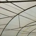 بيوت محميه ععدد 13 للبيع