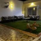 شاليهات الرمال
