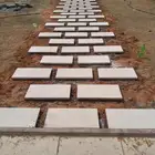 تنسيق حدائق أشجار وزهور