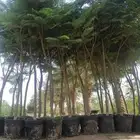مشاتل الدمام في خدمت العملاء