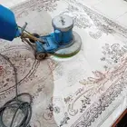شركه تنظيف منازل ومكافحه الحشرات
