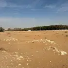 ارض للبيع في مدينة الخرج مخطط الاخوين مساحة الارض 420