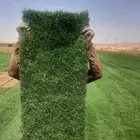 ثيل نجيله طبيعي نخب أول خبره اكثر من 20 عام