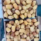 السلام عليكم ورحمه الله وبركاته