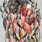 من آخر رحلاتنا