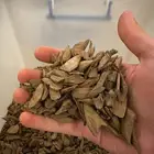 عود مروكي دقة صغيرة فاخرة