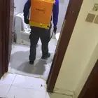 شركه مكافحه حشرات بالدمام