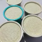 خضير ابيض تحت أشراف سعودي