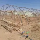 بيوت محميه مجلفن فرنسي