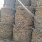لفات رودس ناعمه خالي من اي خلط