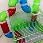 بيت هامستر للبيع 60 ريال مكه الشرائع مخطط2