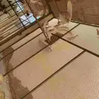 السلام عليكم ورحمه الله وبركاته حمام فرنسي
