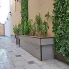 تنسيق حدائق شلالات نوافير مظلات سواتر شبكات راي