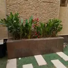 مشاتل مشتل