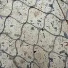 شبكه طيور صيد