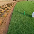 ثيل سئ 2000صافي وطبيعي الموقع الخرج