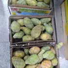 برشومي الطائف ممتاز درجة اولى سعر الصندوق 25ريال ويوجد لدينا