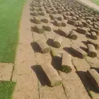 نجيله طبيعي