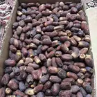 نعرض لكم مجدول