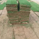 ثيل طبيعي